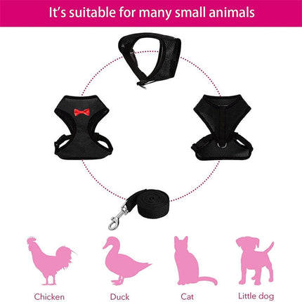 Pet Chicken Harness and Leash Set Adjustable Breathable Walking Vest for Poultry