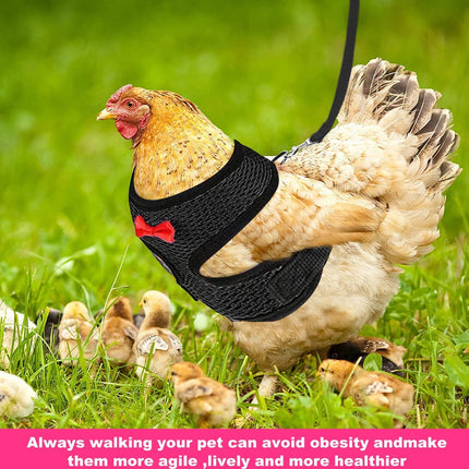 Pet Chicken Harness and Leash Set Adjustable Breathable Walking Vest for Poultry