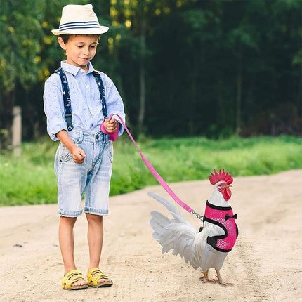 Pet Chicken Harness and Leash Set Adjustable Breathable Walking Vest for Poultry