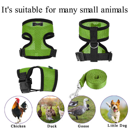 Pet Chicken Harness and Leash Set Adjustable Breathable Walking Vest for Poultry
