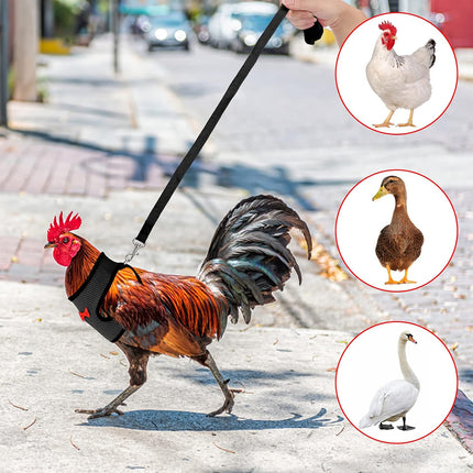 Pet Chicken Harness and Leash Set Adjustable Breathable Walking Vest for Poultry