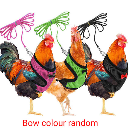 Pet Chicken Harness and Leash Set Adjustable Breathable Walking Vest for Poultry