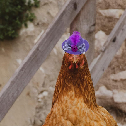 6PCS Rooster Animal Design Chicken Hat with String for Pet Dress Up Pet Headwear