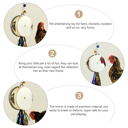 Chicken Mirror Toy Double Sided Drum Design Pet Poultry Pecking Toy for Hen Coop