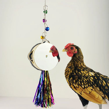 Chicken Mirror Toy Double Sided Drum Design Pet Poultry Pecking Toy for Hen Coop