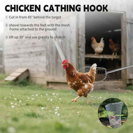 Chicken Catching Net Tool with Telescopic Stainless Steel Handle