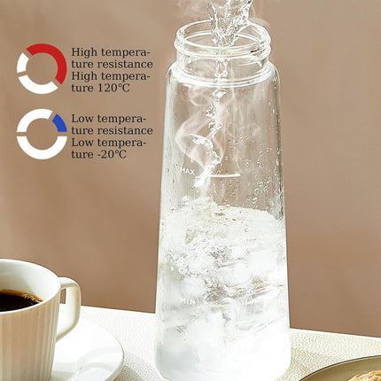 750ml Stainless Steel Filter Cold Brew Coffee Pot Leakproof Design Iced Drinks