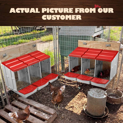 3 Compartment Plastic Chicken Nesting Box Grey Red