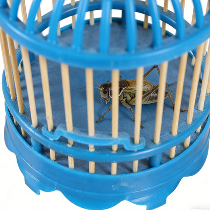 Cricket Cage Blue Plastic Wooden Slats Hook Insect House Portable Enclosure