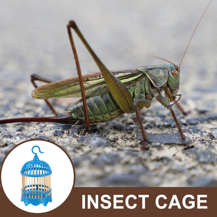 Cricket Cage Blue Plastic Wooden Slats Hook Insect House Portable Enclosure