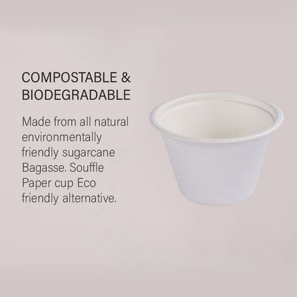 100PCS Dipping Sauce Dish 4Oz Small Condiment Bowls for Sushi Soy Sauce Snacks