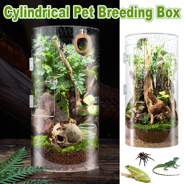 Reptile Breeding Box Model Cylindrical Transparent Pet Container Insect Habitat