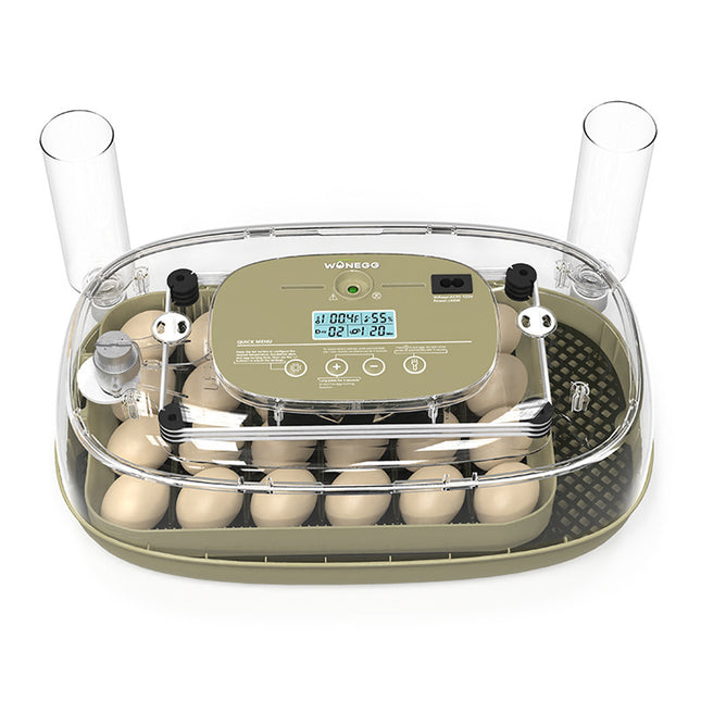24 Egg Small Home Chicken Incubator Digital Automatic for Poultry Hatching