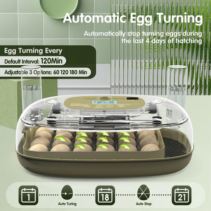 24 Egg Small Home Chicken Incubator Digital Automatic for Poultry Hatching