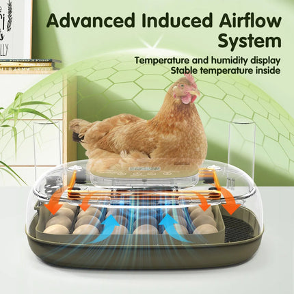 24 Egg Small Home Chicken Incubator Digital Automatic for Poultry Hatching