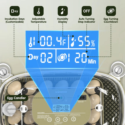 24 Egg Small Home Chicken Incubator Digital Automatic for Poultry Hatching