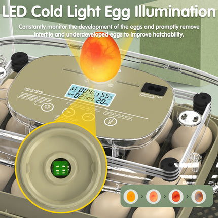 24 Egg Small Home Chicken Incubator Digital Automatic for Poultry Hatching