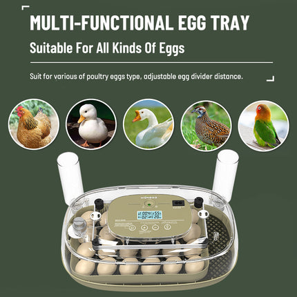 24 Egg Small Home Chicken Incubator Digital Automatic for Poultry Hatching