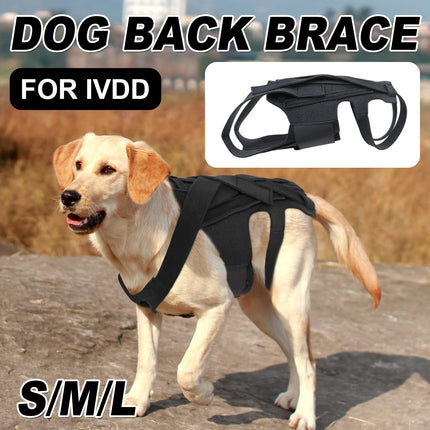 Dog Back Brace for IVDD Small Medium Large Dog Back Support Vest Harness Durable
