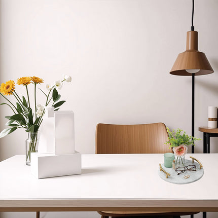 Creative Home Daily Use Desktop Tray Fruit Plate Flat Living Room Organizer