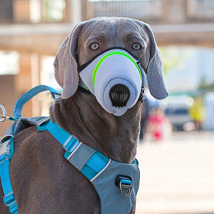 Adjustable Breathable Dog Muzzle with Reflective Strip Zipper Design S/M/L
