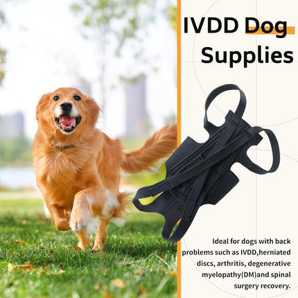 Dog Back Brace for IVDD Small Medium Large Dog Back Support Vest Harness Durable