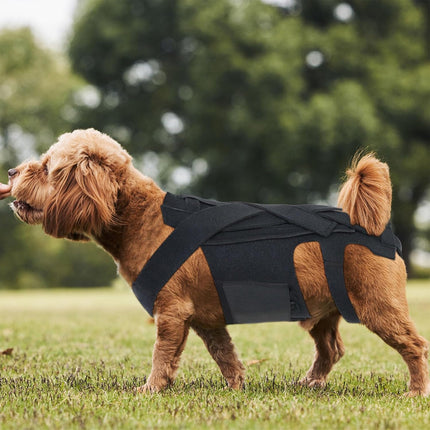 Dog Back Brace for IVDD Small Medium Large Dog Back Support Vest Harness Durable