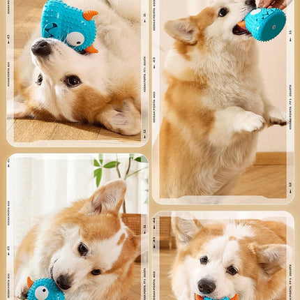 Dog Squeaky Chew Toy Durable Textured Interactive Play Toy Easy Clean