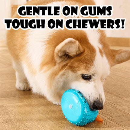 Dog Squeaky Chew Toy Durable Textured Interactive Play Toy Easy Clean