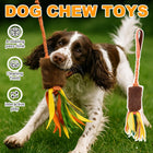 Dog Tug Rope Toy Bungee Molar Chew with Fleece Handle Interactive for Pet Play