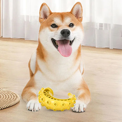 Dog Chew Toy TPR Teeth Grinding Cleaning Bite Resistant Self Exciting Boredom