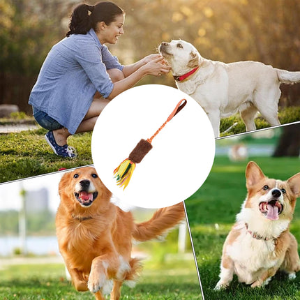 Dog Tug Rope Toy Bungee Molar Chew with Fleece Handle Interactive for Pet Play