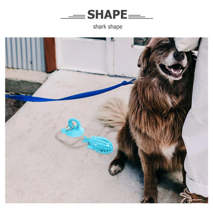 Dog Chew Toys Durable Non Toxic TPR Material for Dogs Puppies Teething Training