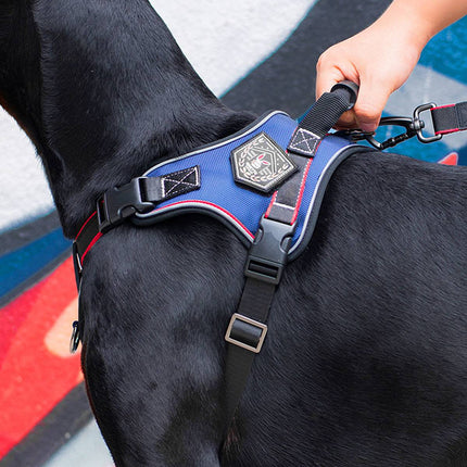 No-Pull Dog Harness and Bungee Leash Set - Padded Vest for Medium Large Dogs