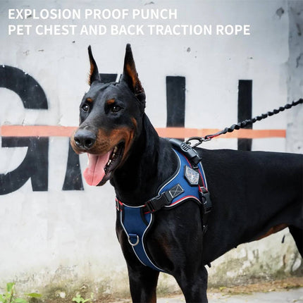 No-Pull Dog Harness and Bungee Leash Set - Padded Vest for Medium Large Dogs