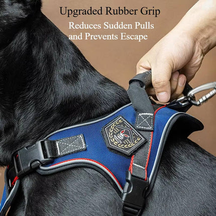 No-Pull Dog Harness and Bungee Leash Set - Padded Vest for Medium Large Dogs
