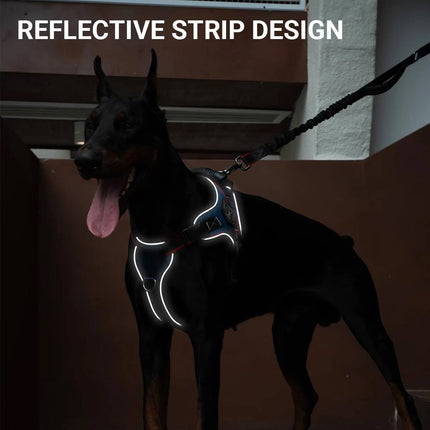 No-Pull Dog Harness and Bungee Leash Set - Padded Vest for Medium Large Dogs