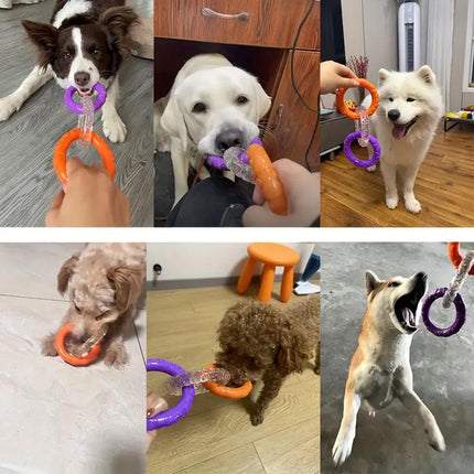 Interactive Dog Toys TRP Rubber Ring Teething Pet Rally Ring Chew Play Fetch