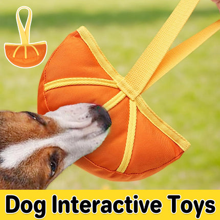 Dog Interactive Toy Chew Teeth Cleaning Washable Durable for Dogs Puppies Use
