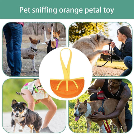 Dog Interactive Toy Chew Teeth Cleaning Washable Durable for Dogs Puppies Use