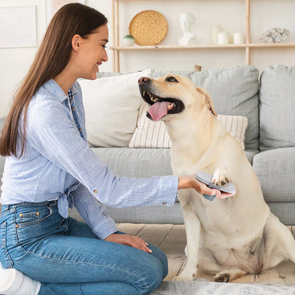 Dog Nail Scratcher Pet Nail File for Dogs Puppy Safe Painless Grooming Tool