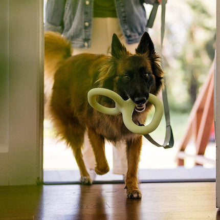 Dog Tug Toy Double Loop Rubber Pet Chew Bite Pull Toy Ergonomic 28cm