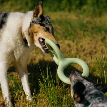 Dog Tug Toy Double Loop Rubber Pet Chew Bite Pull Toy Ergonomic 28cm