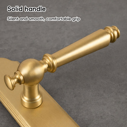 Matte Gold Lever Mortise Door Lock Handle Set