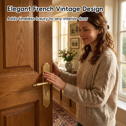 Matte Gold Lever Mortise Door Lock Handle Set