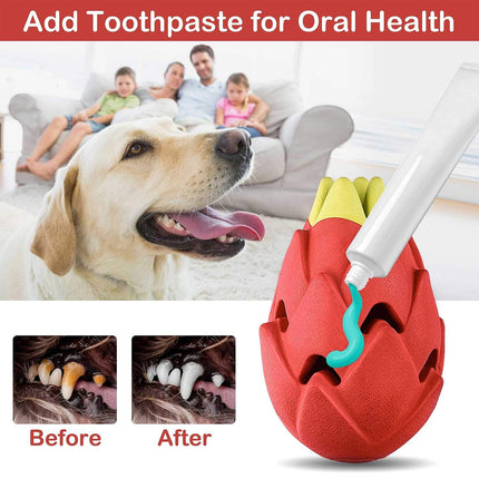 Dragon Fruit Shaped Dog Chew Toy Durable Health for Puppy Small Medium Dogs