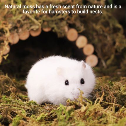 5pcs Natural Flower Grass Bedding Dried Moss Hamster Cage Decor Breeding Box