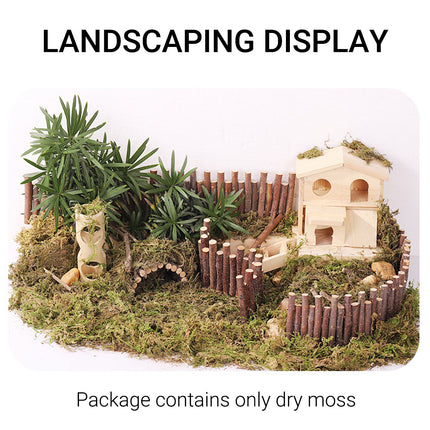 5pcs Natural Flower Grass Bedding Dried Moss Hamster Cage Decor Breeding Box