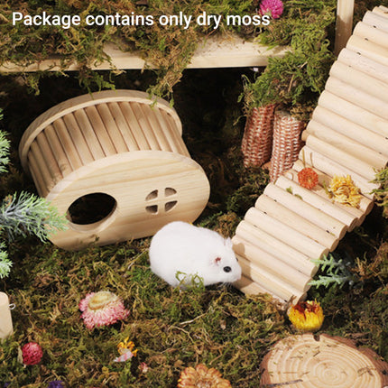 5pcs Natural Flower Grass Bedding Dried Moss Hamster Cage Decor Breeding Box
