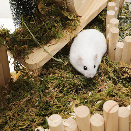 5pcs Natural Flower Grass Bedding Dried Moss Hamster Cage Decor Breeding Box